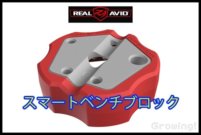 ナイフショップ グローイング！□Real Avid【リアル アビット