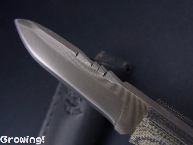 ナイフショップ グローイング！□ANZA KNIFE【アンザ・ナイフ