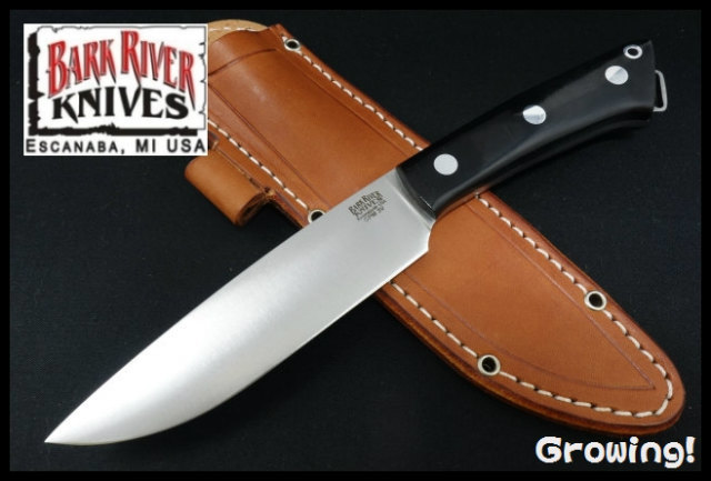 ネイバーフッド FIXX チャレンジャー ダブルタップス マシス