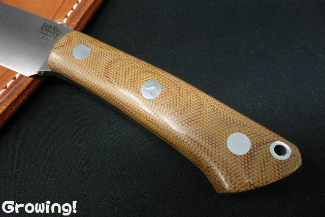 BARK バークリバー FOXII フォックスリバー2 A2 ナイフショップ グローイング！□BARK RIVER KNIVES【バーク