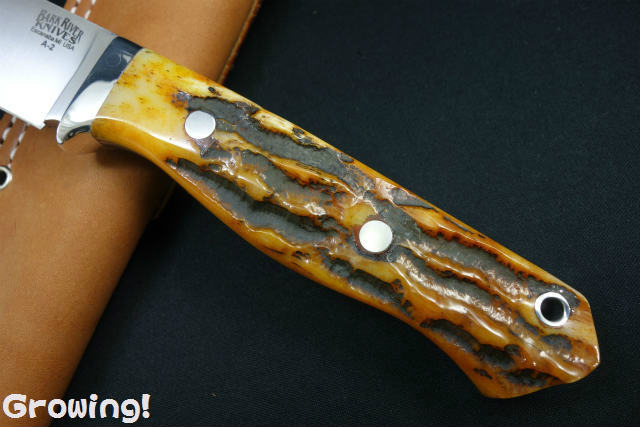 ナイフショップ グローイング！□BARK RIVER KNIVES【バーク