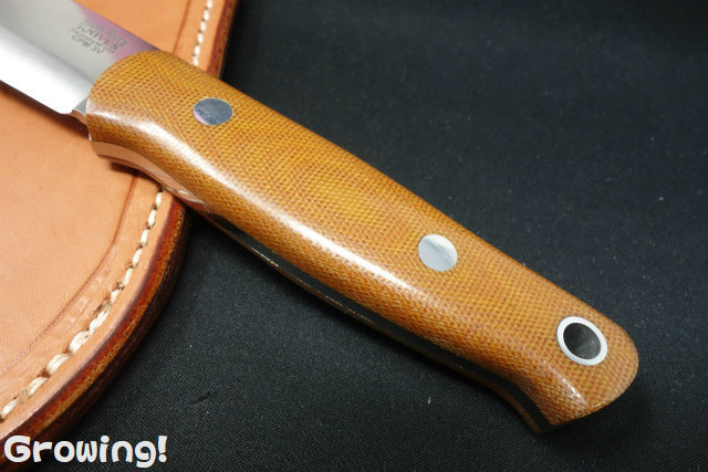 バークリバー ブッシュクラフター CPM3V Desert Ironwood Burl
