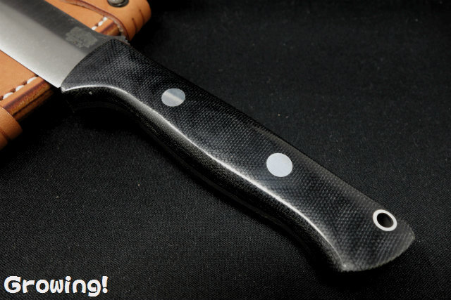ナイフショップ グローイング！□BARK RIVER KNIVES【バークリバー