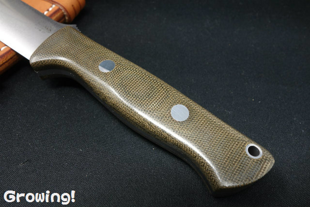 ナイフショップ グローイング！□BARK RIVER KNIVES【バークリバー