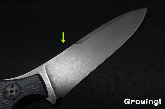 バスティネリ アルファ　購入前にコメントをお願いします。 バスティネリ アルファ 購入前にコメントをお願いします。の通販