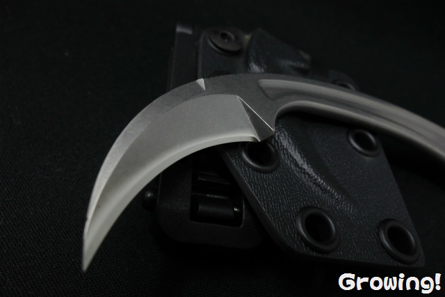 カランビット　52 ナイフショップ グローイング！□Bastinelli【バスティネリ】□ 「ピカ