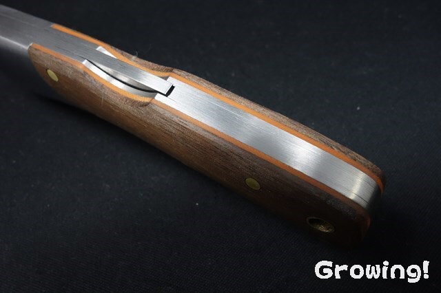 ナイフショップ グローイング！□Beretta【ベレッタ】□ リード