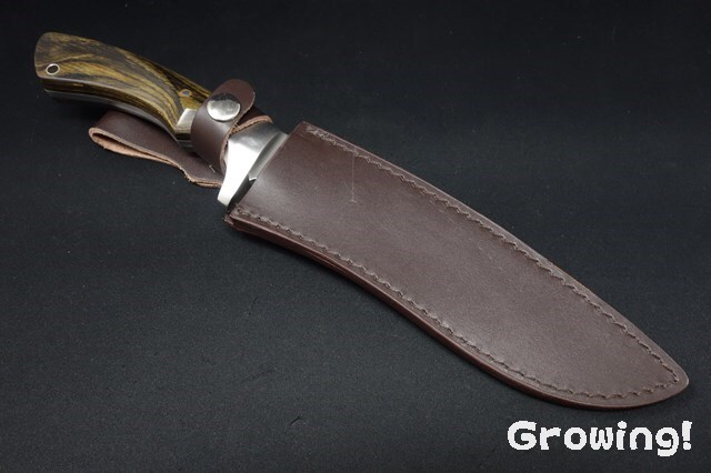 ナイフショップ グローイング！□BlackFox【ブラックフォックス