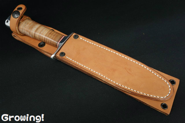 カズ　ブラックジャック 711iKPLQU6L._AC_UL210_SR210,