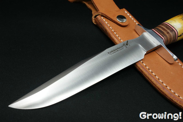 ナイフショップ グローイング！□BLACKJACK【ブラックジャック