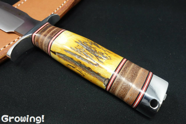 ブラックジャック Used 2024 Kawasaki Ninja ZX-4R ABS, Jacksonville FL | Specs