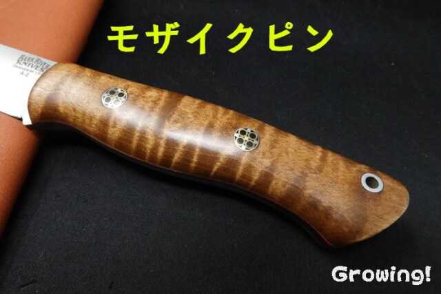 BARK RIVER KNIVES  オーロラ Bark River Knives: Aurora Scandi 3V - White Linen Micarta