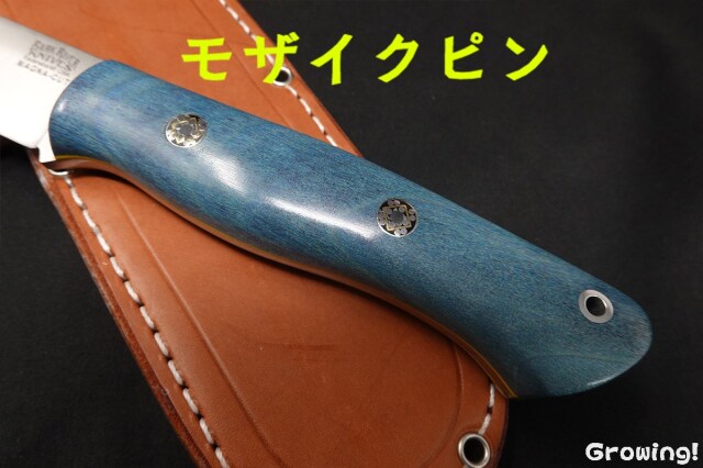 BR-AUR-Mag-BlLace-YeL-MOS-42346-4.jpg
