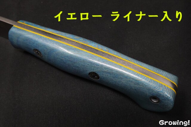 BR-AUR-Mag-BlLace-YeL-MOS-42346-5.jpg