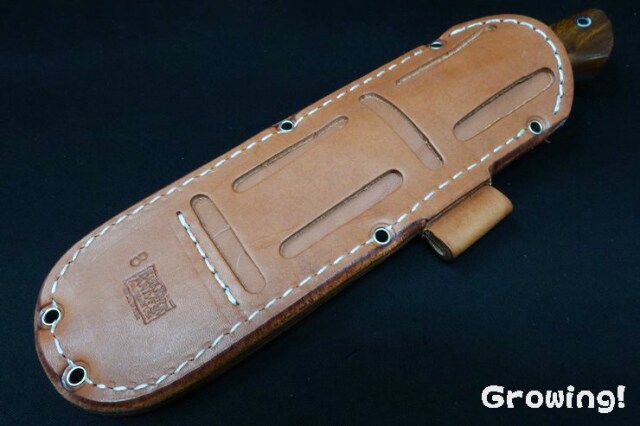 コディアック カリブロッジ オーロラフェード コディアック