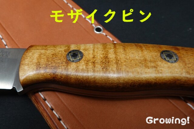 ナイフショップ グローイング！□BARK RIVER KNIVES【バークリバー