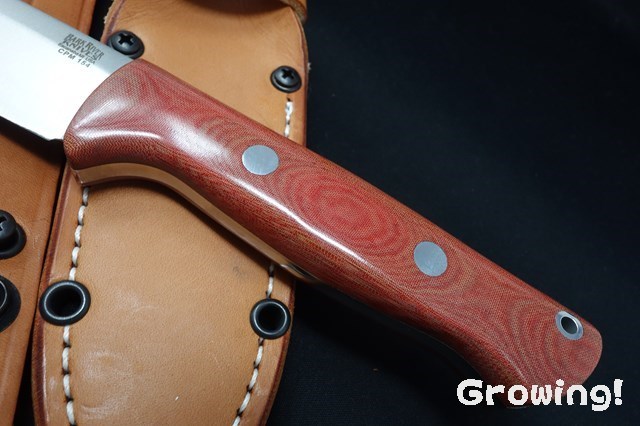 ナイフショップ グローイング！□BARK RIVER KNIVES【バーク