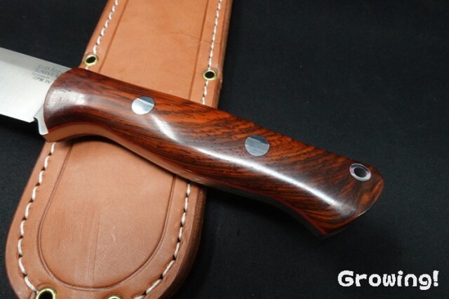新品★bark  バークリバー ブラボー 1 3V ランプレス防水処理 ナイフショップ グローイング！□BARK RIVER KNIVES【バークリバー