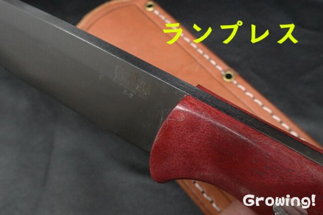 BR-BV1-RML-CheMAP-23325-3.jpg