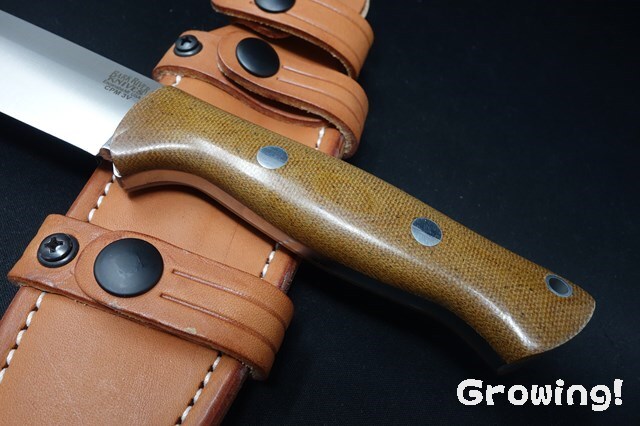 ナイフショップ グローイング！□BARK RIVER KNIVES【バークリバー