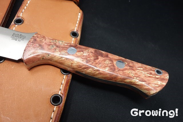 ナイフショップ グローイング！□BARK RIVER KNIVES【バークリバー