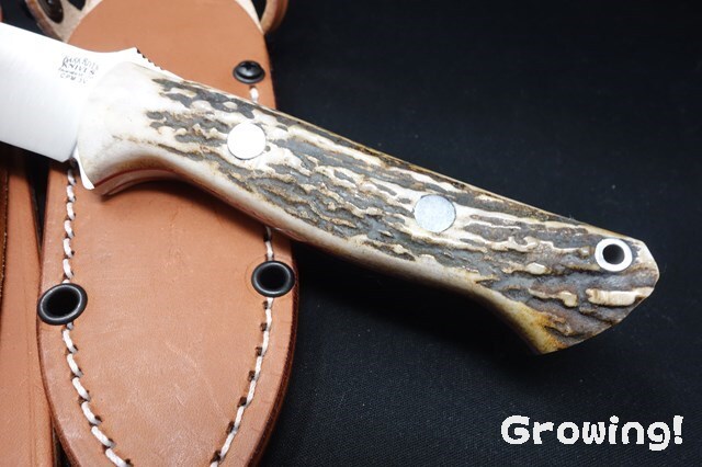 ナイフショップ グローイング!□BARK RIVER KNIVES【バーク ナイフショップ グローイング!□BARK RIVER KNIVES【バーク