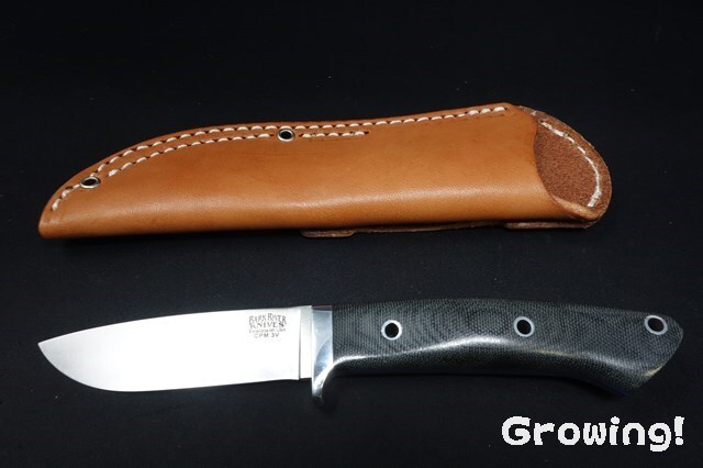 BR-CDH-3V-BCM-BulL-HOW-96021-7.jpg