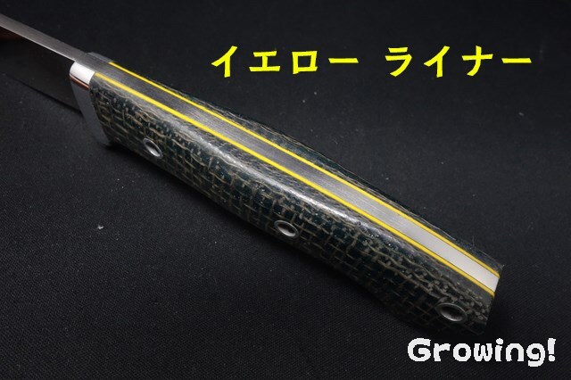 BR-CDH-3V-EGBur-YeL-HOW-96062-5.jpg