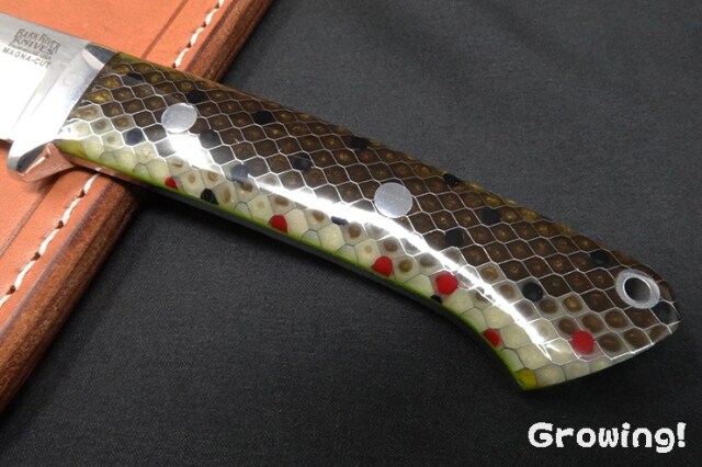 BR-CDH-MagC-BrTrout-ToxL-24293-3.jpg