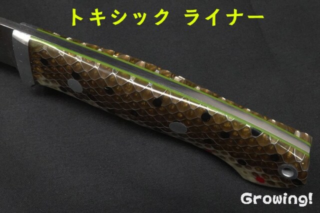 BR-CDH-MagC-BrTrout-ToxL-24293-4.jpg