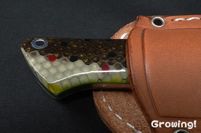 BR-CDH-MagC-BrTrout-ToxL-24293-6.jpg