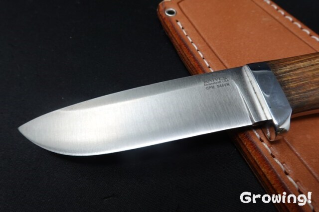 BR-CDH-S45-IronW-PurL-14501-2.jpg