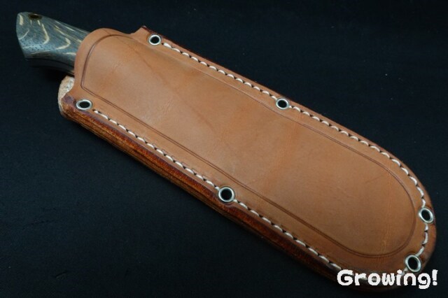 BR-CDH-S45-Oak-BkL-14250-5.jpg