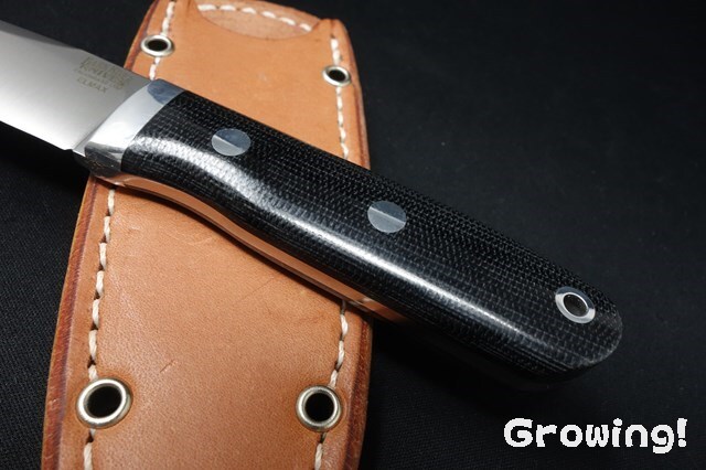 ナイフショップ グローイング！□BARK RIVER KNIVES【バークリバー