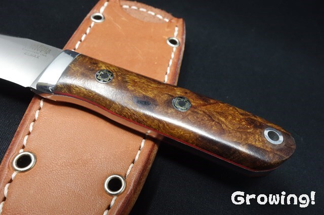 ナイフショップ グローイング！□BARK RIVER KNIVES【バークリバー