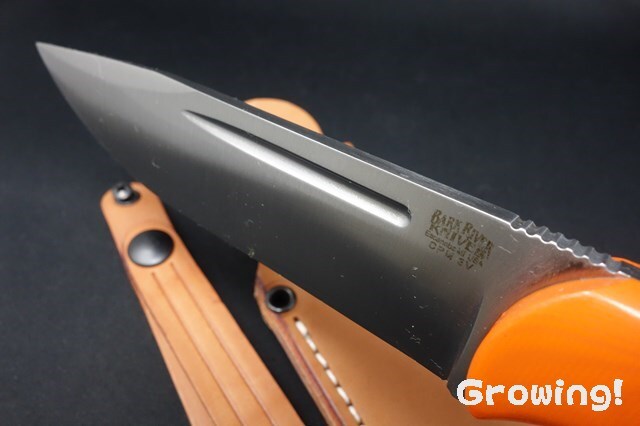 BR-CUB-3V-OraG10-1193-3.jpg