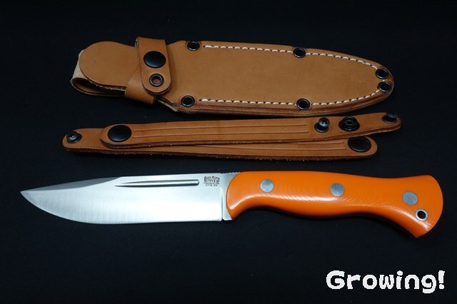 BR-CUB-3V-OraG10-1193-5.jpg
