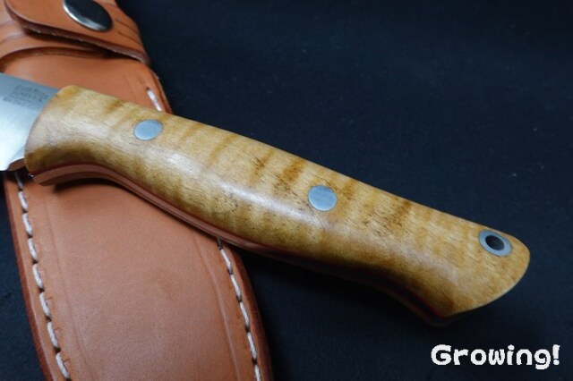 ナイフショップ グローイング！□BARK RIVER KNIVES【バーク