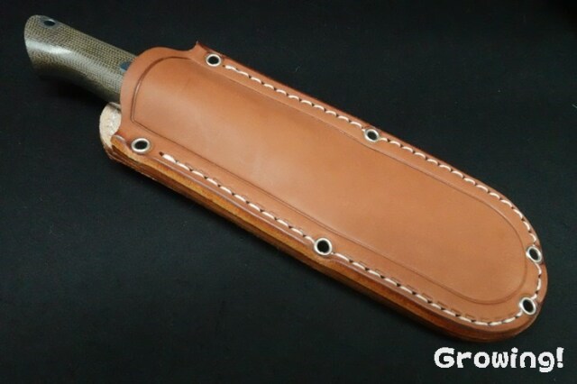 BR-GUNS-3V-GCM-14770-5.jpg