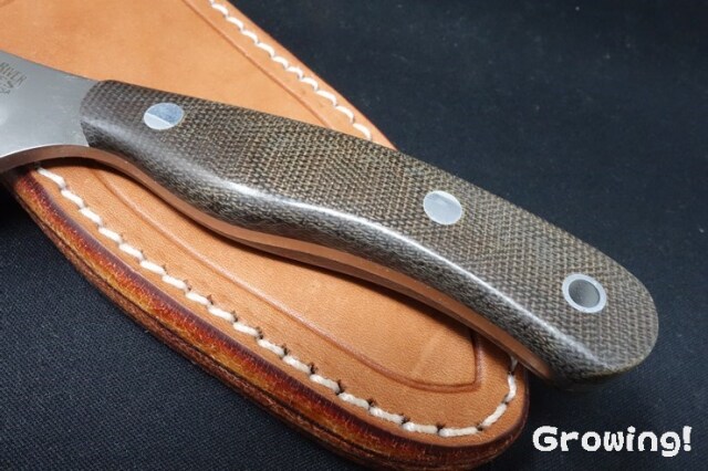 ナイフ ナイフショップ グローイング！□Mora knife【モーラ・ナイフ