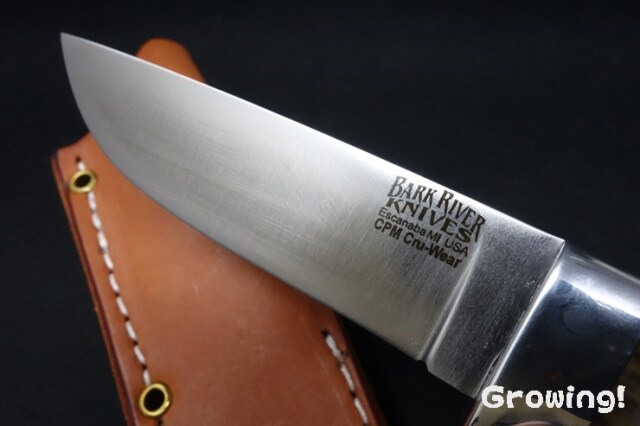 BR-MT2-Cru-Camel-244-3.jpg