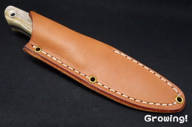 BR-MT2-Cru-Camel-244-5.jpg