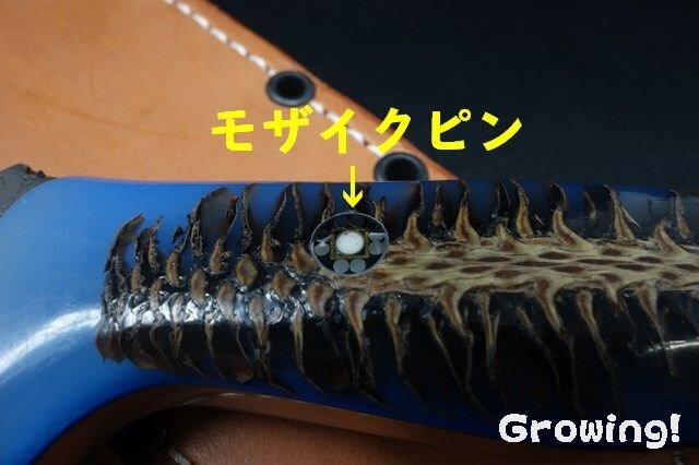 ナイフショップ グローイング！□BARK RIVER KNIVES【バークリバー