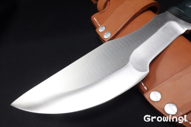BR-TKKR-FrGG10-487-2.jpg