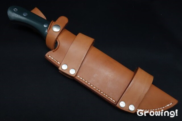 BR-TKKR-FrGG10-487-6.jpg