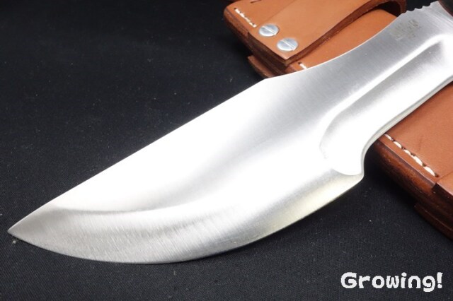 BR-TKKR-GCM-RL-498-2.jpg