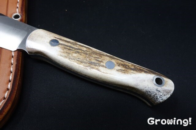 ナイフショップ グローイング！□BARK RIVER KNIVES【バークリバー  