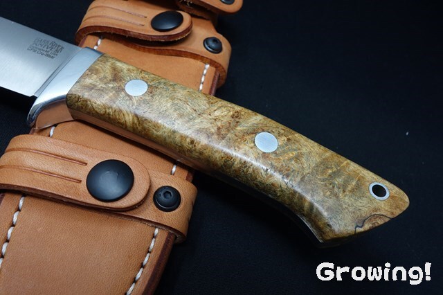 ナイフショップ グローイング！□BARK RIVER KNIVES【バークリバー