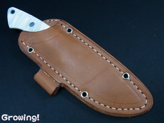 ハイパーナイフ　ウェーブ　ワム ナイフショップ グローイング！□BARK RIVER KNIVES【バークリバー
