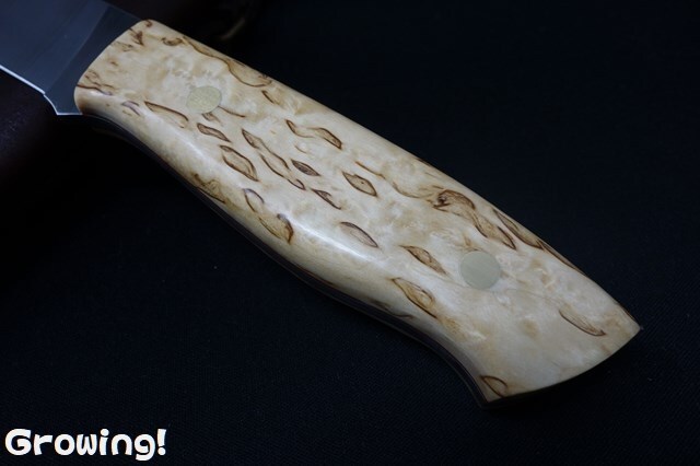 ナイフショップ グローイング！□BRISA【ブリサ】□ 「トラッパー95